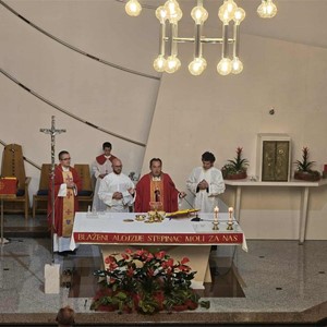 ​Župa blaženog Alojzija Stepinca u Velikoj Gorici proslavila svoj titular